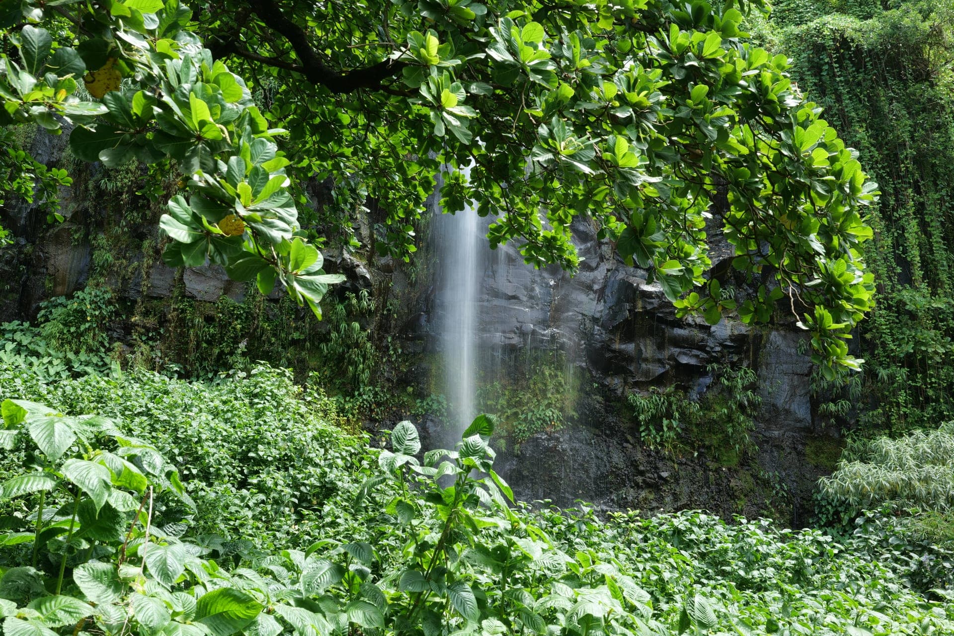 Anse des Cascades